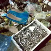 Rifiuti in via Porto, cittadini bloccano la strada con i cassonetti