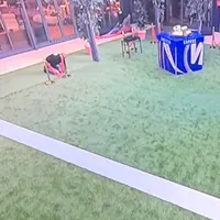 GF Vip, diretta nel caos: operai al lavoro, ritardo di oltre un'ora e concorrenti costretti a dormire fuori