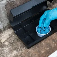 Derattizzazione a Torre Annunziata: calendario degli interventi dal 16 al 24 marzo