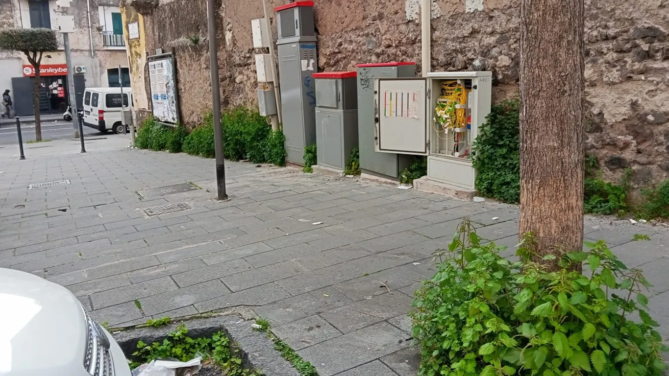 Degrado e rifiuti in Torre del Greco: viale Antonio De Curtis nel mirino dei residenti