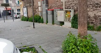 Degrado e rifiuti in Torre del Greco: viale Antonio De Curtis nel mirino dei residenti