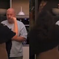 Notte di fuoco al GF Vip, Marco Berry accusa Francesca Manzini: "Mi hai messo le mani addosso!"