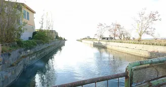 Castellammare, sequestrato cantiere navale abusivo a Varano: 18 imbarcazioni sotto sigilli