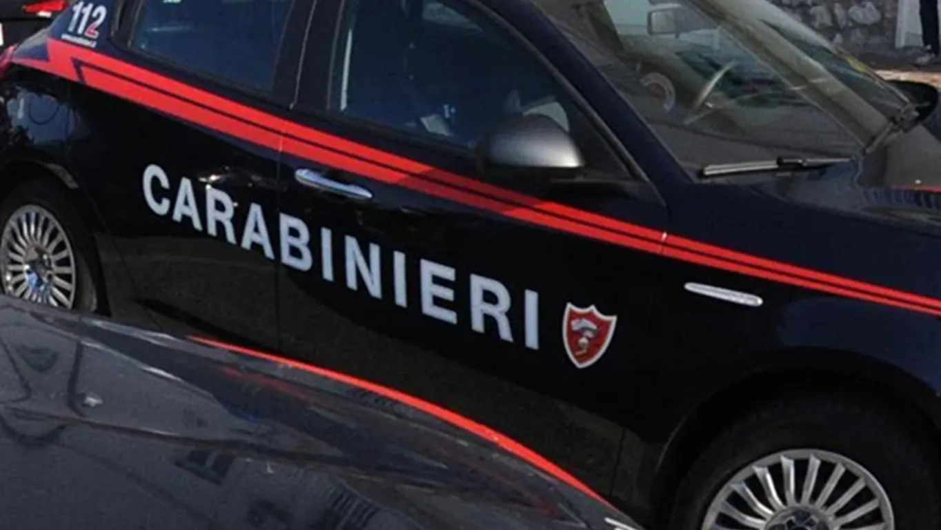 Rubano un'auto e fuggono, ma scavalcano il cancello sbagliato: arrestati due ladri seriali