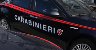 Rubano un'auto e fuggono, ma scavalcano il cancello sbagliato: arrestati due ladri seriali