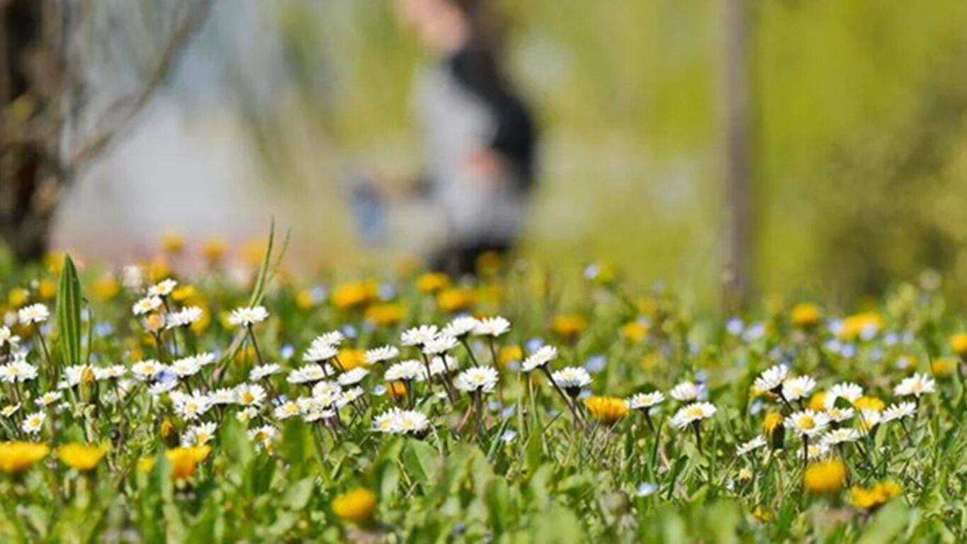 Colpo di coda dell'inverno, ma per Pasqua cambia tutto