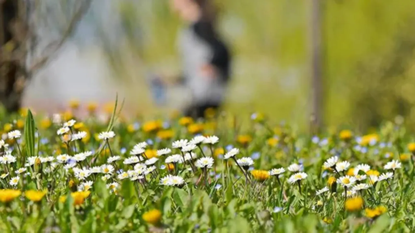 Colpo di coda dell'inverno, ma per Pasqua cambia tutto