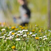 Colpo di coda dell'inverno, ma per Pasqua cambia tutto