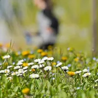 Colpo di coda dell'inverno, ma per Pasqua cambia tutto