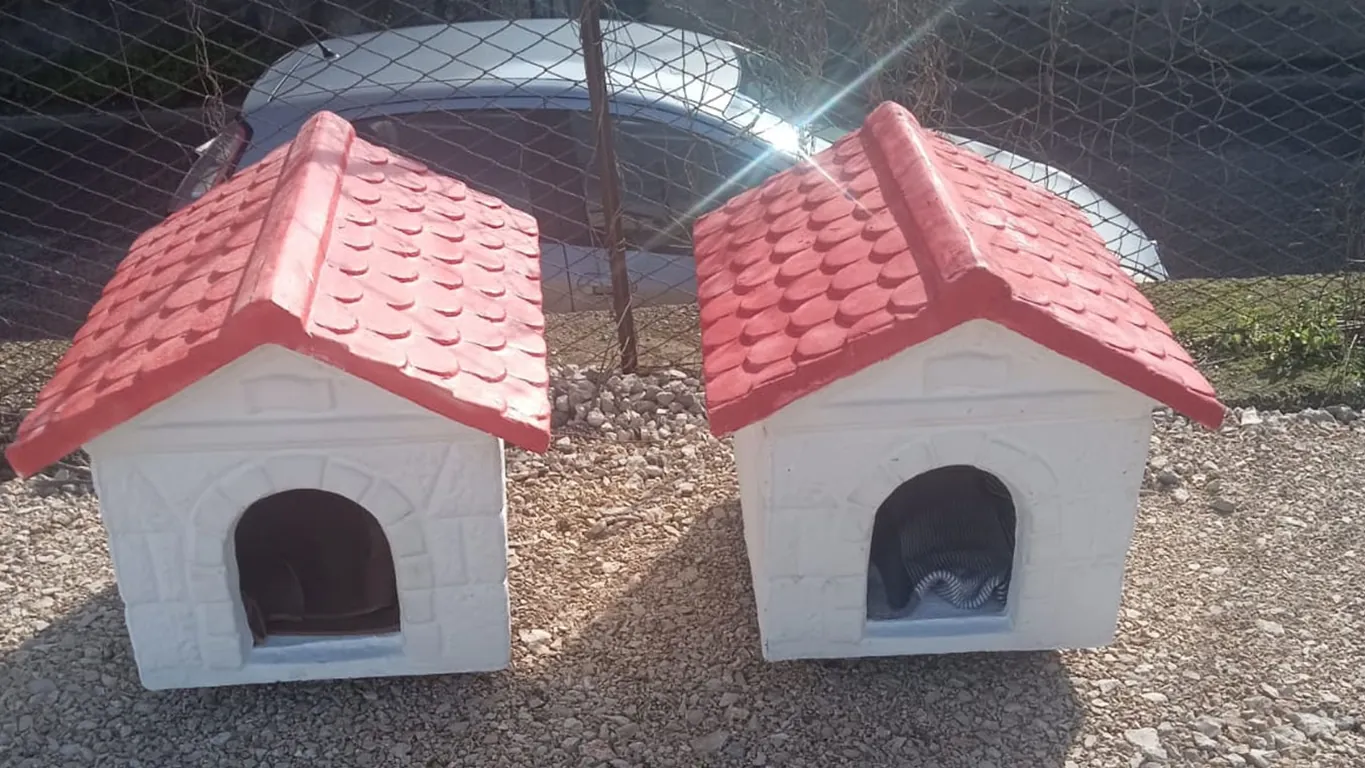 Casette per i gatti al cimitero di Torre del Greco: via libera al progetto per le colonie feline