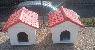 Casette per i gatti al cimitero di Torre del Greco: via libera al progetto per le colonie feline