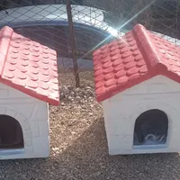 Casette per i gatti al cimitero di Torre del Greco: via libera al progetto per le colonie feline