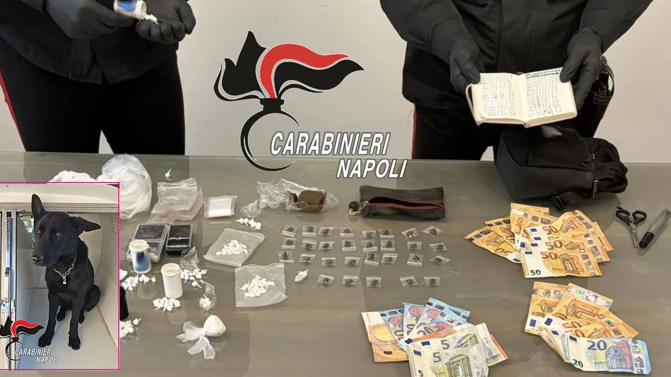 Castellammare, droga nascosta sotto il materasso: fiuto del cane Thelma incastra un'intera famiglia