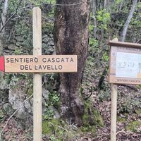 Quisisana, riapre il sentiero del Rio Lavello: natura e storia tornano protagoniste