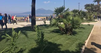 Castellammare, nuova vita alla Villa Comunale: piantati 58 alberi e centinaia di piante