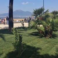 Castellammare, nuova vita alla Villa Comunale: piantati 58 alberi e centinaia di piante