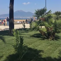 Castellammare, nuova vita alla Villa Comunale: piantati 58 alberi e centinaia di piante