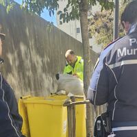 Torre Annunziata, intensificata l'azione di controllo dei rifiuti urbani