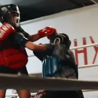 Torre del Greco, progetto “Merito Mente Azione”: borse di studio per studenti meritevoli