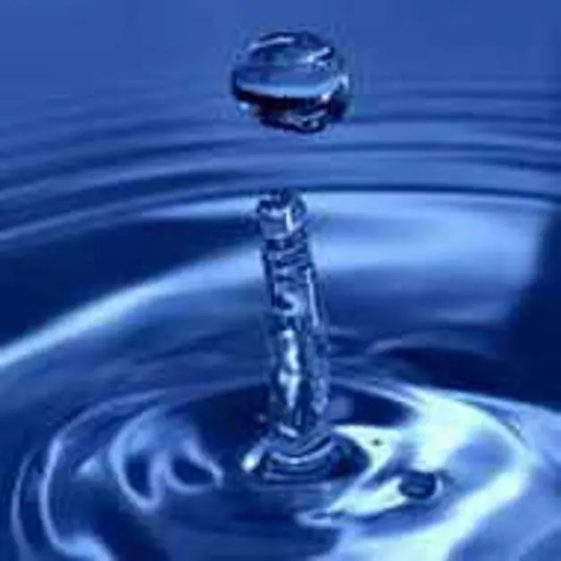 Referendum acqua e nucleare, l´importanza della mobilitazione