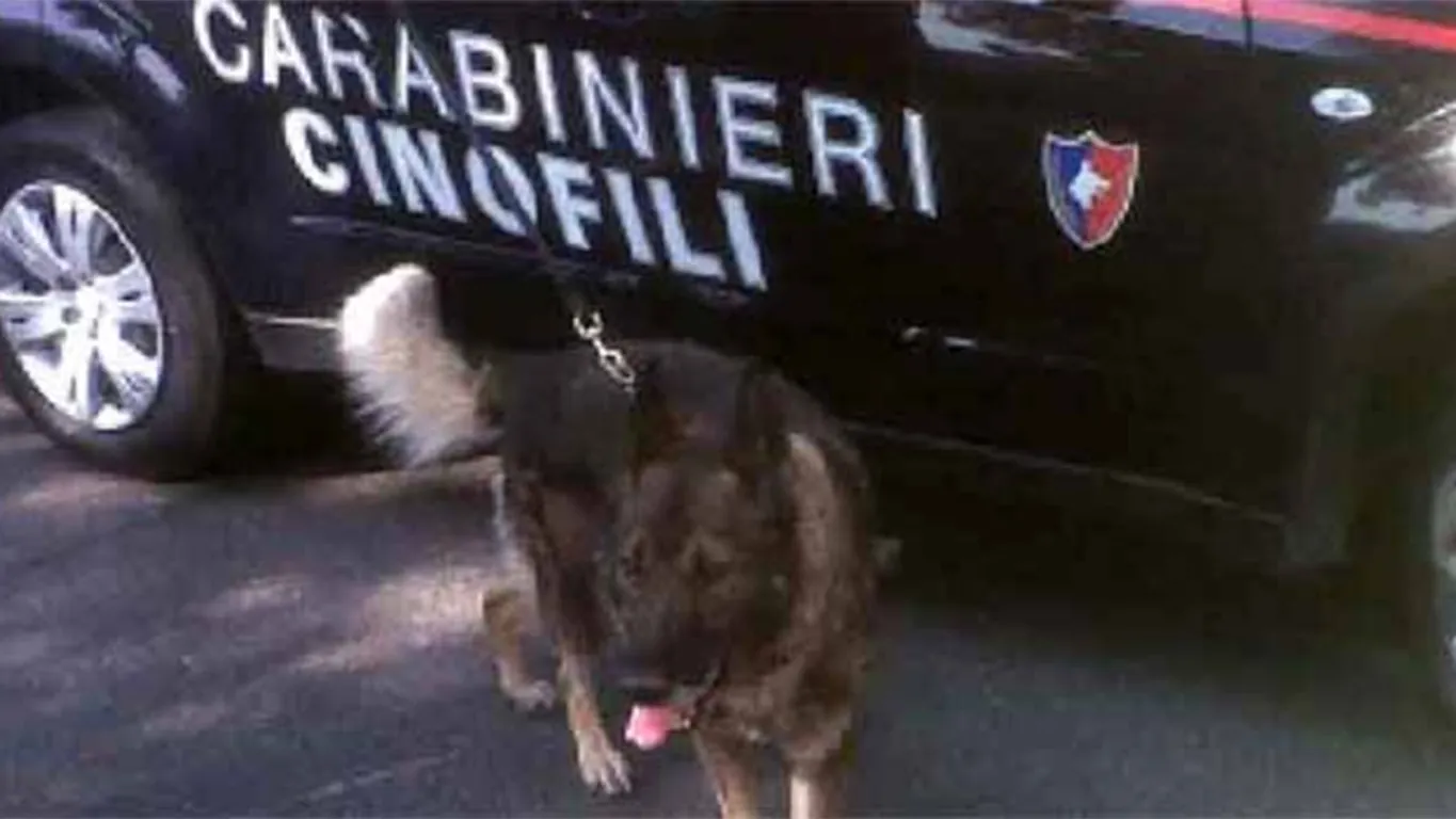 Uomo scomparso tra Terzigno e Poggiomarino: ricerche in corso