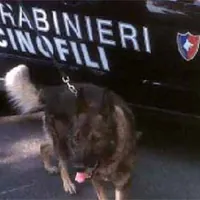 Uomo scomparso tra Terzigno e Poggiomarino: ricerche in corso