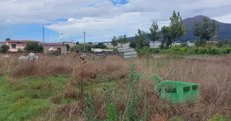 Beni confiscati, sinergia tra Comune di Torre Annunziata e Terzo Settore per la valorizzazione