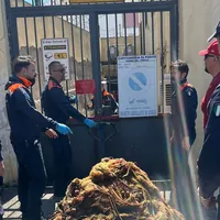 Rete da pesca illegale sequestrata a Torre del Greco: multa da mille euro