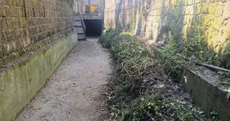 Castellammare di Stabia, iniziati i lavori di pulizia e manutenzione di Capo Rivo