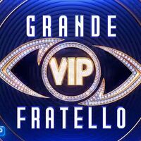 GF Vip, il CEO di Endemol: "La messa in onda alle 22 vuol dire 300 mila telespettatori in meno, ma così ha deciso Mediaset"