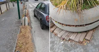 Torre del Greco, degrado davanti al liceo Nobel: studenti denunciano panchine rotte e fioriere-discarica