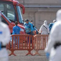 Hantavirus, positivi un americano e una francese. Oggi circolare ministero della Salute