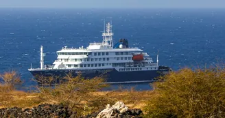 Torre del Greco, quarantena obbligatoria per un marittimo dopo il caso Hantavirus sul volo KLM