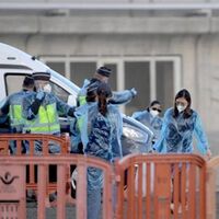 Hantavirus, la circolare del ministero della Salute: quarantena, contagi e mascherine. Ecco cosa prevede