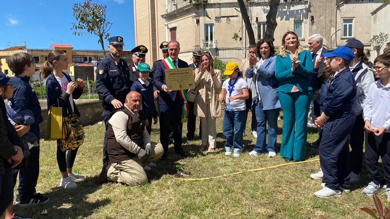 Torre del Greco, piantato l'albero di Falcone: “Chi cammina a testa alta muore una volta sola”