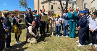 Torre del Greco, piantato l'albero di Falcone: “Chi cammina a testa alta muore una volta sola”