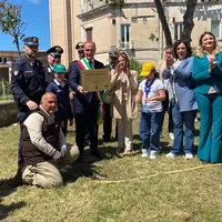 Torre del Greco, piantato l'albero di Falcone: “Chi cammina a testa alta muore una volta sola”