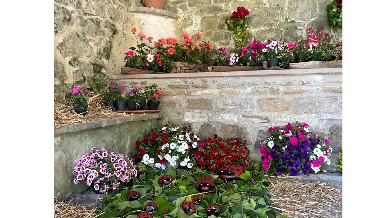 Perdifumo Comune in fiore, il trionfo della bellezza unisce un'intera comunità