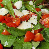 Involtini di tacchino con rucola, pomodorini e scaglie di grana