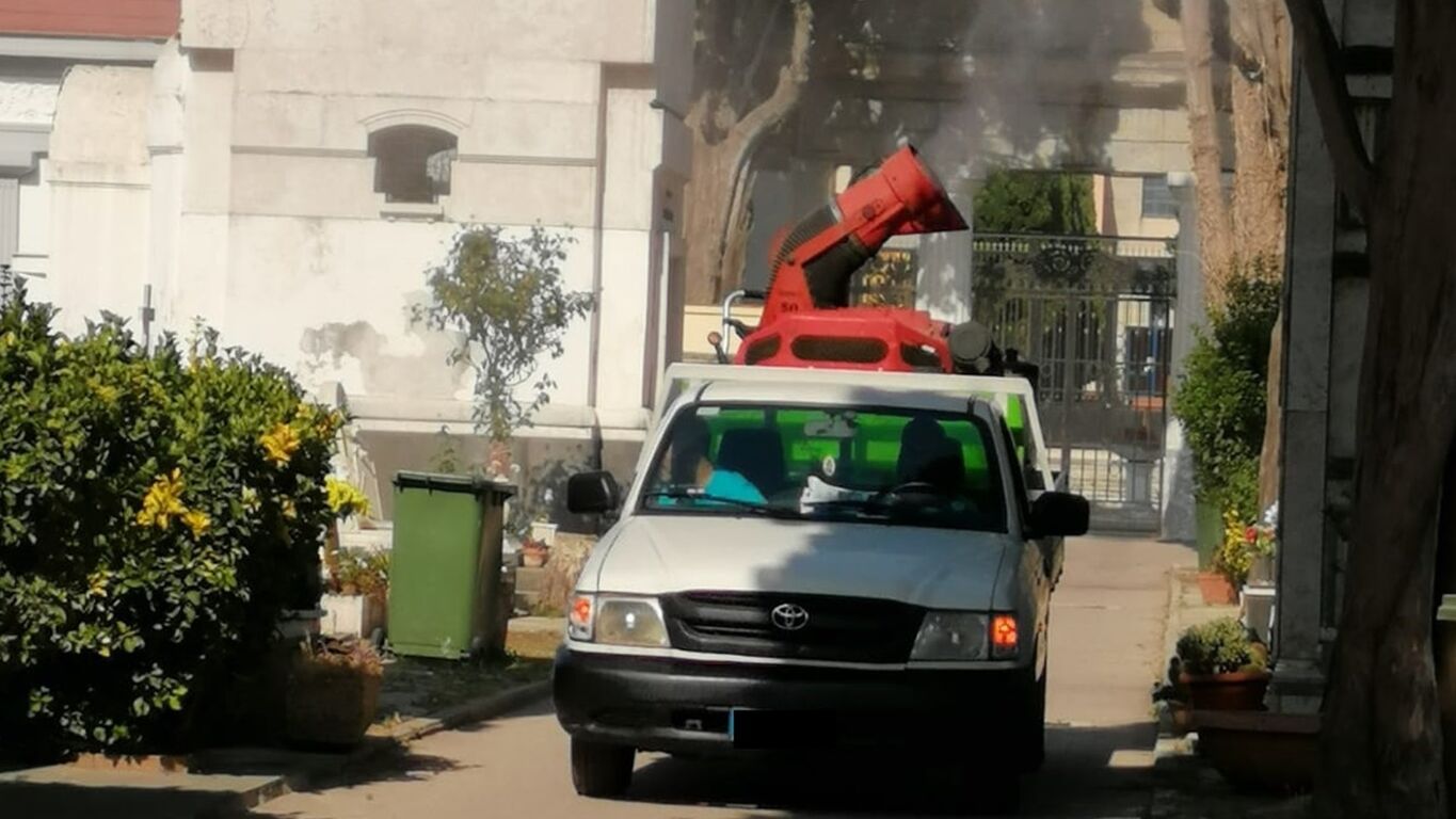 Castellammare di Stabia, disinfestazione e derattizzazione: ecco il programma