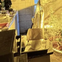 Torre del Greco, serra di cannabis in casa: 48enne arrestato dai Carabinieri