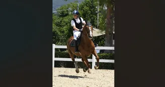 Da Castellammare a Piazza di Siena: l'anno d'oro del giovane cavaliere Vittorio Renato Suarato