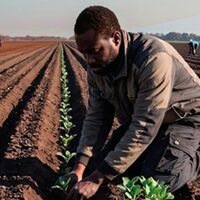 “Coltivare Diritti in Terra di Lavoro”, ad Aversa il confronto su migrazioni, lavoro e inclusione