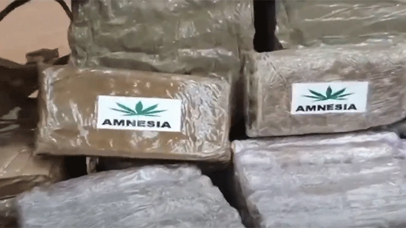 Droga nascosta in un fusto sotterrato: scoperta la rete dello spaccio tra Marano e Quarto