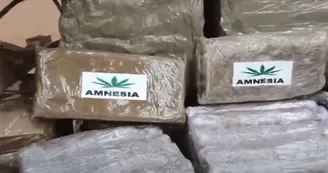 Droga nascosta in un fusto sotterrato: scoperta la rete dello spaccio tra Marano e Quarto