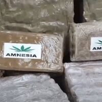 Droga nascosta in un fusto sotterrato: scoperta la rete dello spaccio tra Marano e Quarto