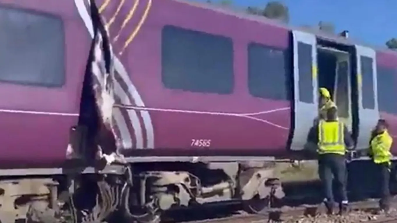 Scontro tra due treni a nord di Londra: "Morto il macchinista, ci sono anche feriti gravi"