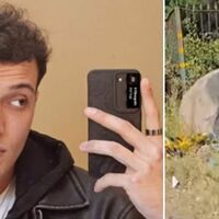 Boscoreale, il dolore della famiglia di Francesco Cuomo: "Non fu l'alta velocità"