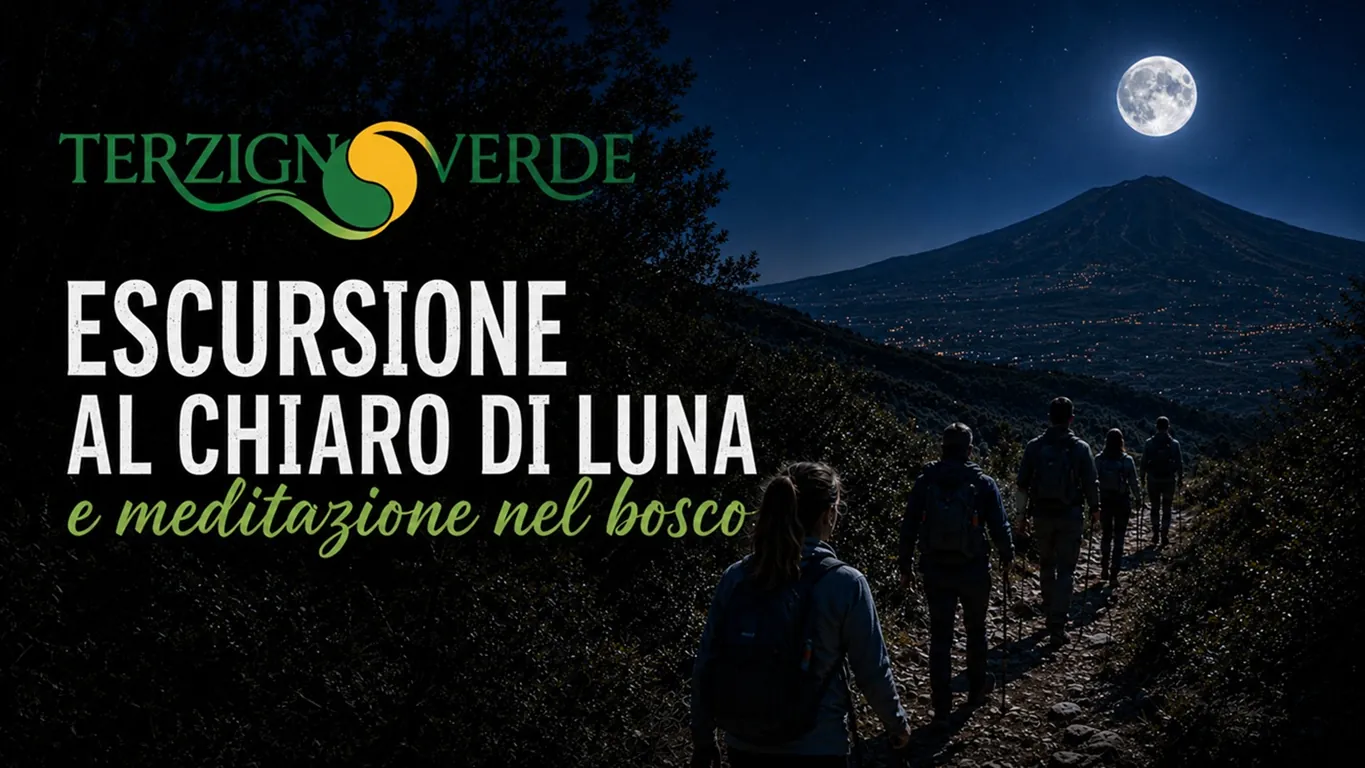 Camminare sotto la luna piena sul Vesuvio: al via l'estate di Terzigno Verde
