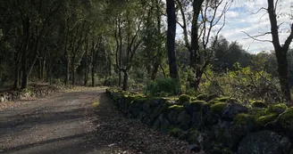 Torre del Greco, Parco del Vesuvio: focus su incendi e discariche abusive